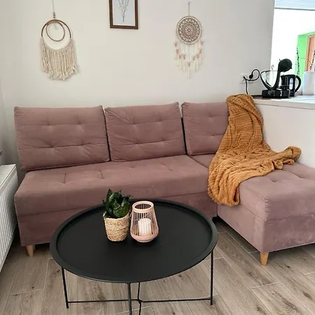 Mr. Sowa Sokolec Apartment Ludwikowice Klodzkie