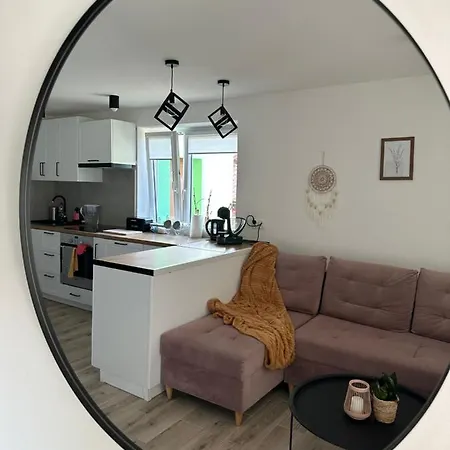Mr. Sowa Sokolec Apartment *