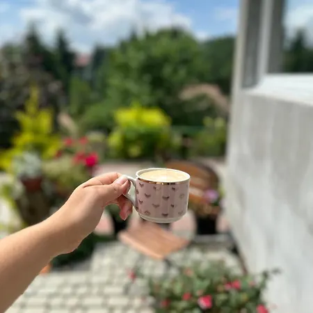 Mr. Sowa Sokolec 아파트 루드비코비체 클로드즈키