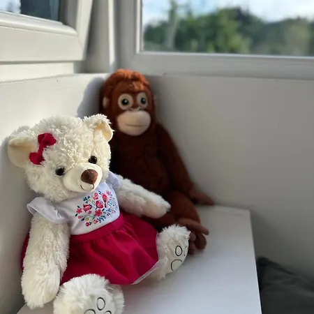 Mr. Sowa Sokolec 아파트