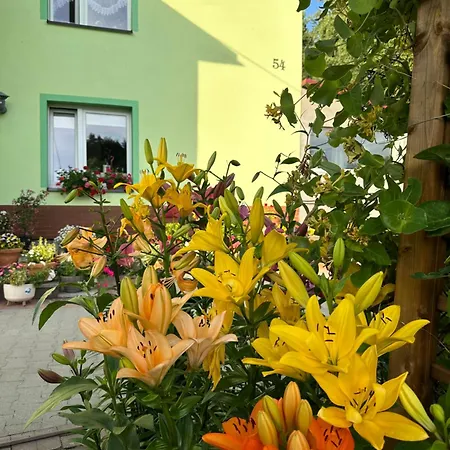 Mr. Sowa Sokolec * 루드비코비체 클로드즈키