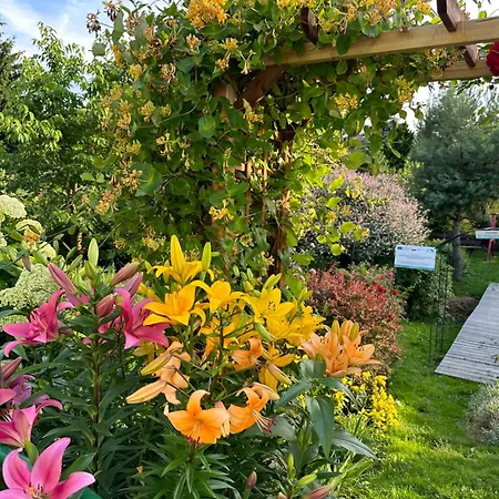 Mr. Sowa Sokolec 아파트 루드비코비체 클로드즈키