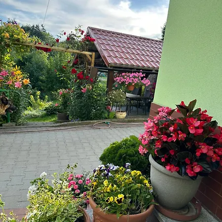 Mr. Sowa Sokolec 아파트