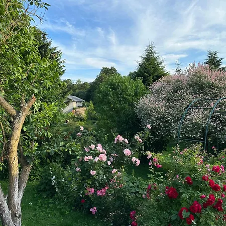 Mr. Sowa Sokolec 루드비코비체 클로드즈키