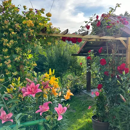 Mr. Sowa Sokolec 아파트 루드비코비체 클로드즈키