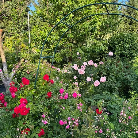 Mr. Sowa Sokolec 아파트 *