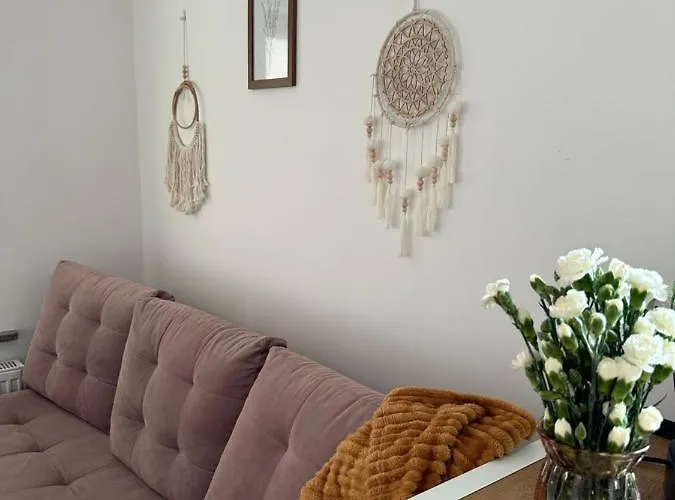 Mr. Sowa Sokolec Ludwikowice Kłodzkie