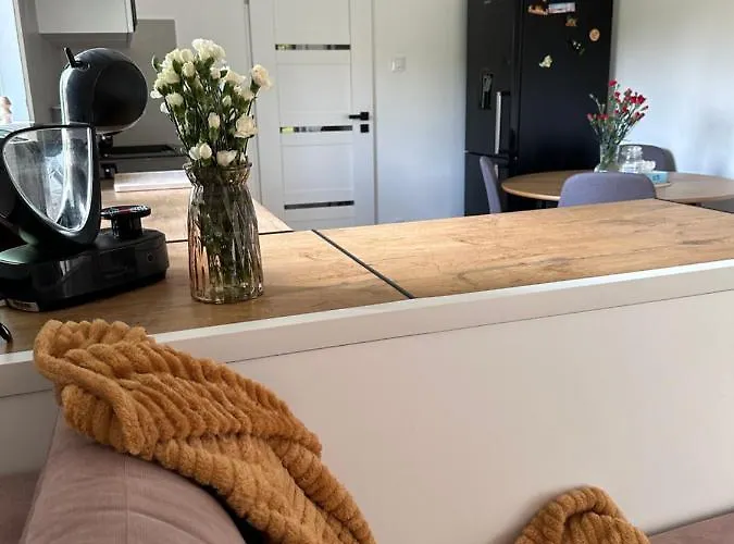 Mr. Sowa Sokolec Ludwikowice Kłodzkie