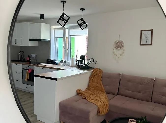 Mr. Sowa Sokolec Apartment *