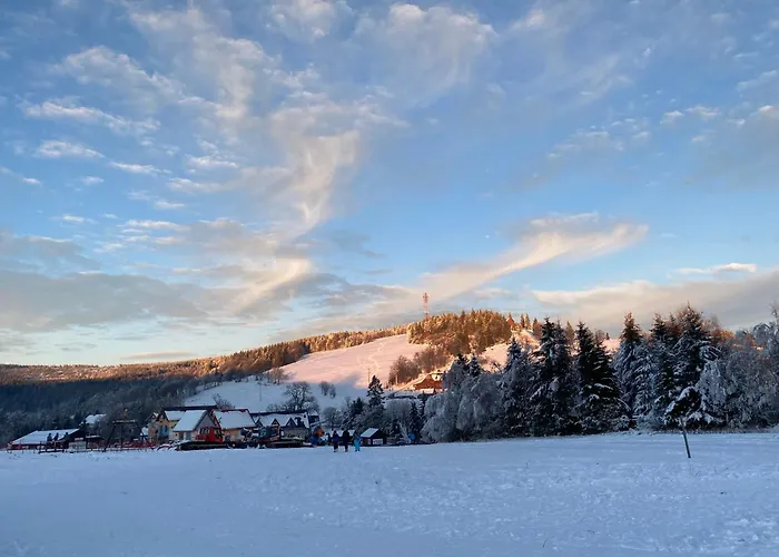 Mr. Sowa Sokolec Apartment Ludwikowice Kłodzkie