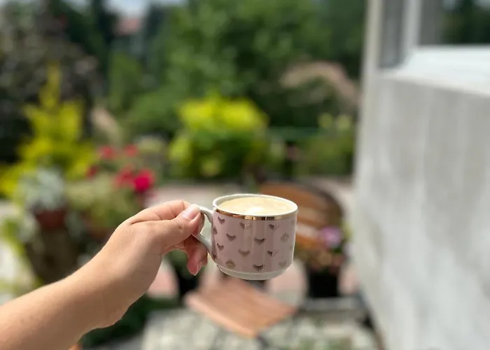 Mr. Sowa Sokolec Apartment Ludwikowice Kłodzkie