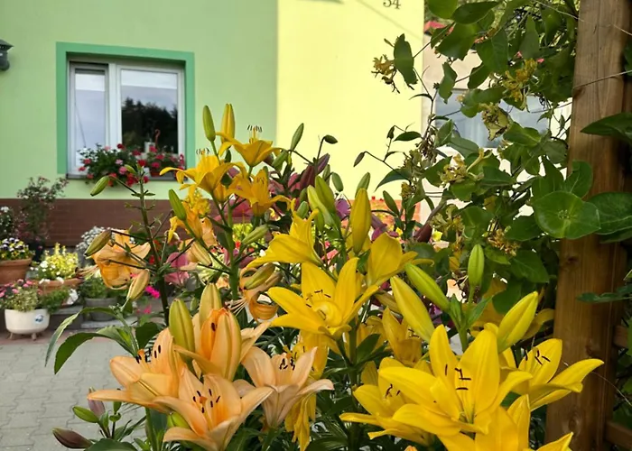 Mr. Sowa Sokolec * Ludwikowice Kłodzkie