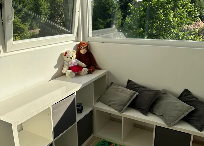 Mr. Sowa Sokolec Ludwikowice Kłodzkie