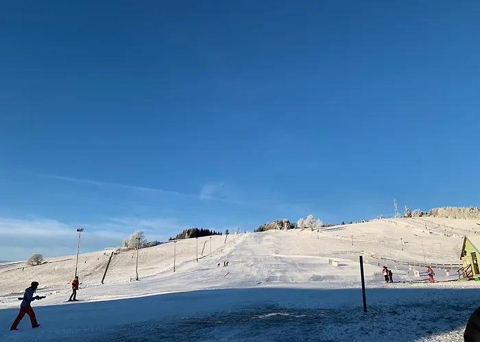 Mr. Sowa Sokolec Apartment Ludwikowice Kłodzkie