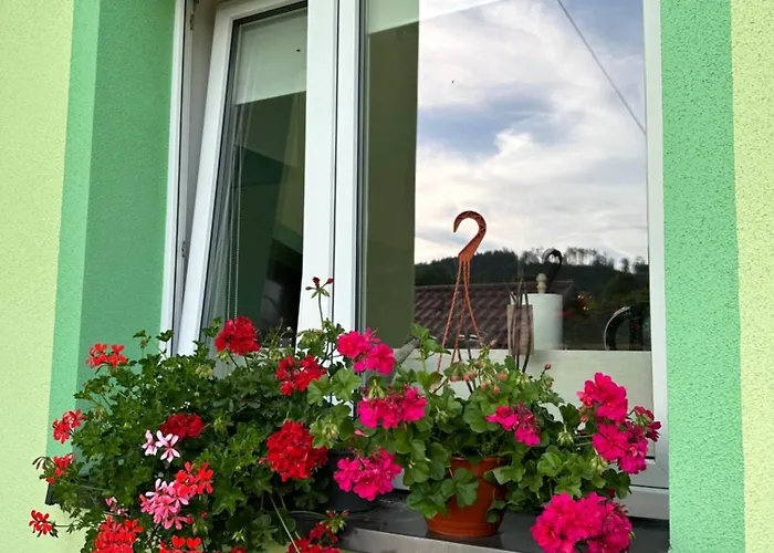 Apartment Mr. Sowa Sokolec *