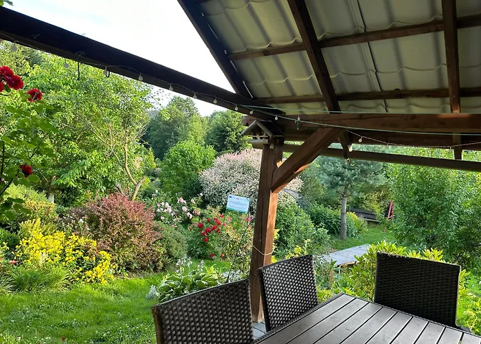 Mr. Sowa Sokolec Ludwikowice Kłodzkie