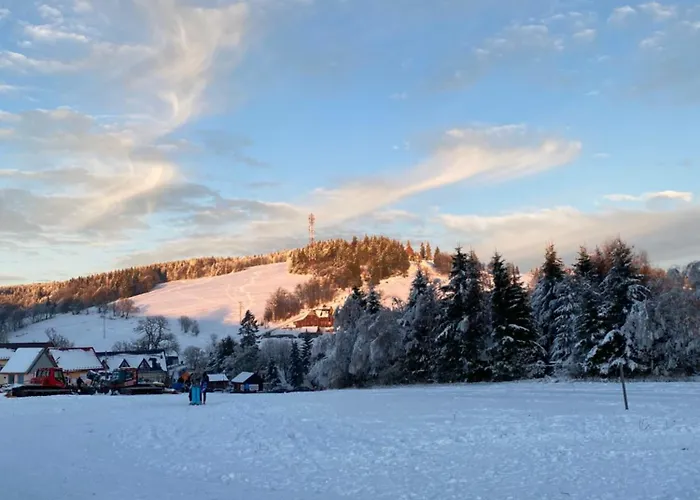 Mr. Sowa Sokolec * Ludwikowice Kłodzkie