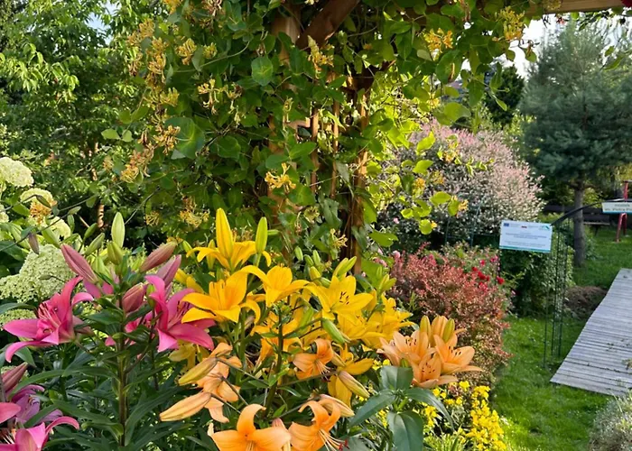 Mr. Sowa Sokolec Apartment Ludwikowice Kłodzkie