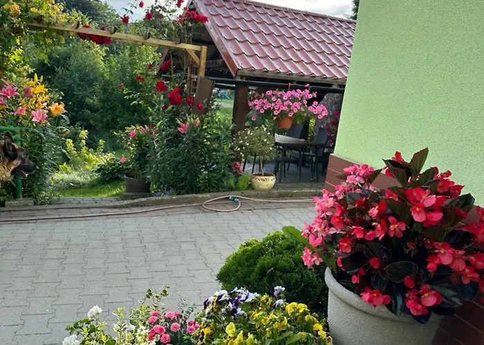 Mr. Sowa Sokolec Apartment