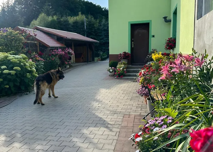 Mr. Sowa Sokolec * Ludwikowice Kłodzkie