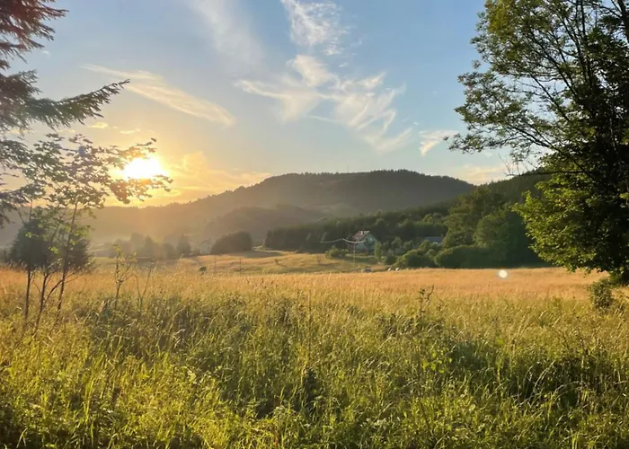 Mr. Sowa Sokolec Apartment Ludwikowice Kłodzkie