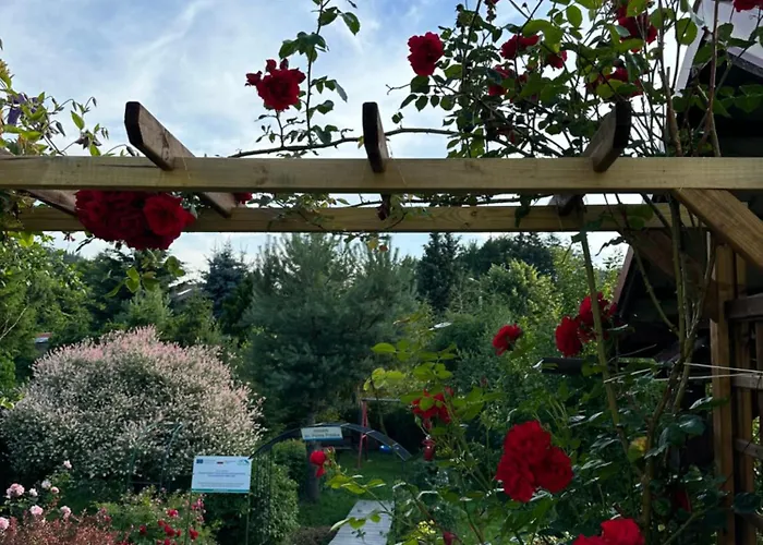 Apartment Mr. Sowa Sokolec Ludwikowice Kłodzkie