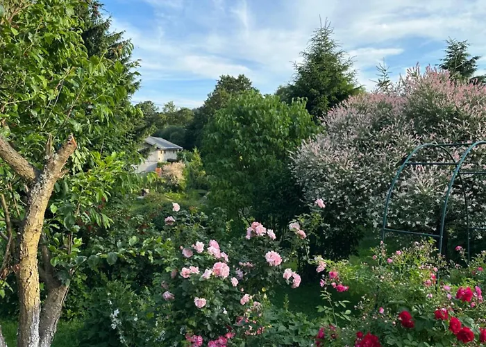 Mr. Sowa Sokolec Ludwikowice Kłodzkie