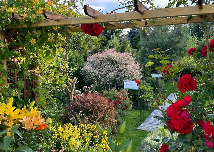 Mr. Sowa Sokolec Ludwikowice Kłodzkie