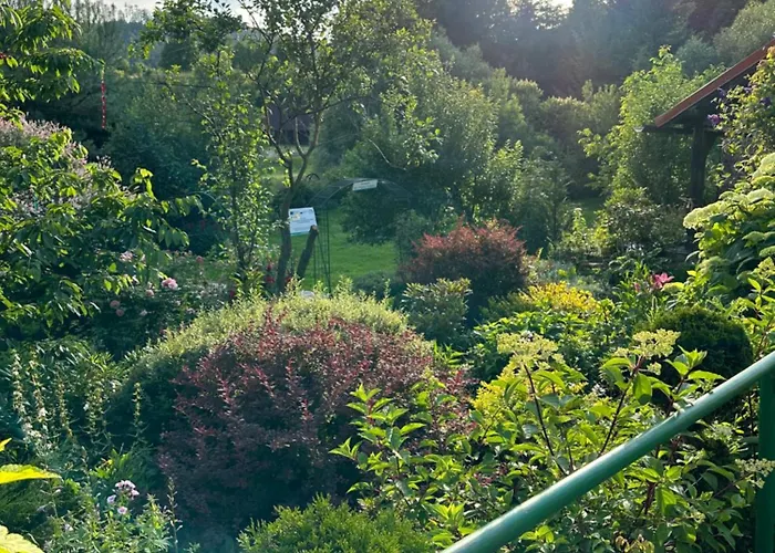 Apartment Mr. Sowa Sokolec