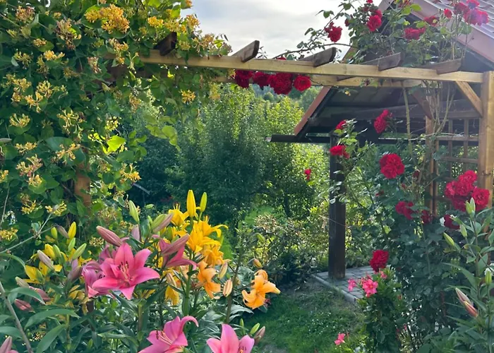 Mr. Sowa Sokolec Apartment Ludwikowice Kłodzkie